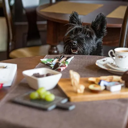 Casa Chintoan - Adult Only Bed & Breakfast 2*