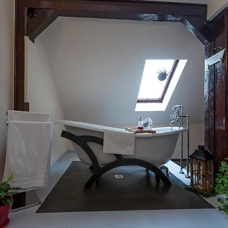 Casa Chintoan - Adult Only