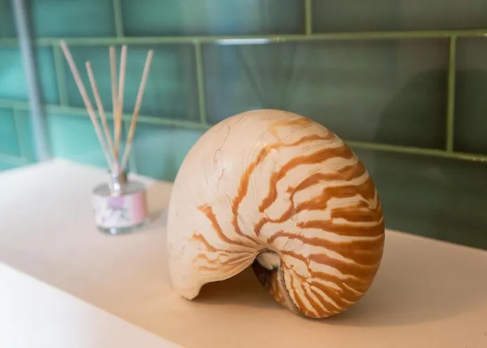 Casa Chintoan - Adult Only