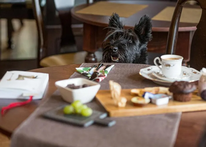 Casa Chintoan - Adult Only Отель типа 