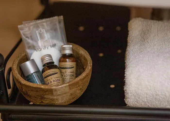 Casa Chintoan - Adult Only 2* Констанца